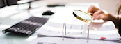 Auditor Investigating Corporate Fraud Using