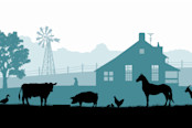Rural America Image