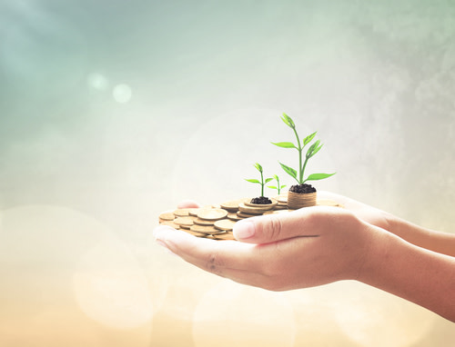 Looking for dividend growth.