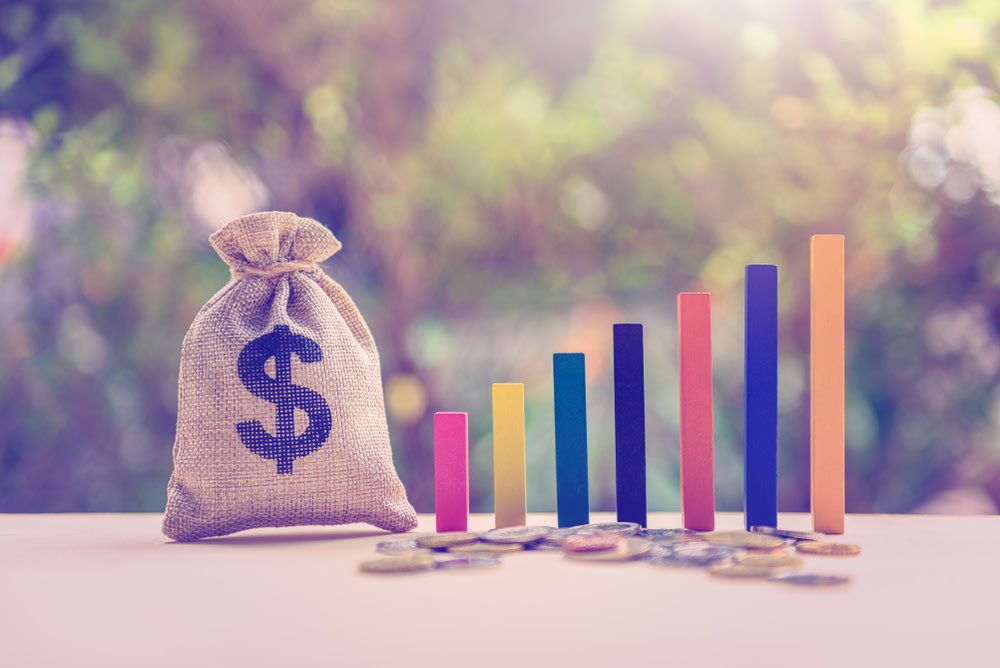 Growth of income