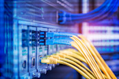 cables connected to an optic ports and UTP Network