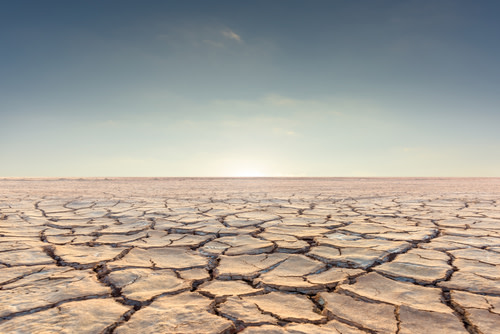 A barren landscape.