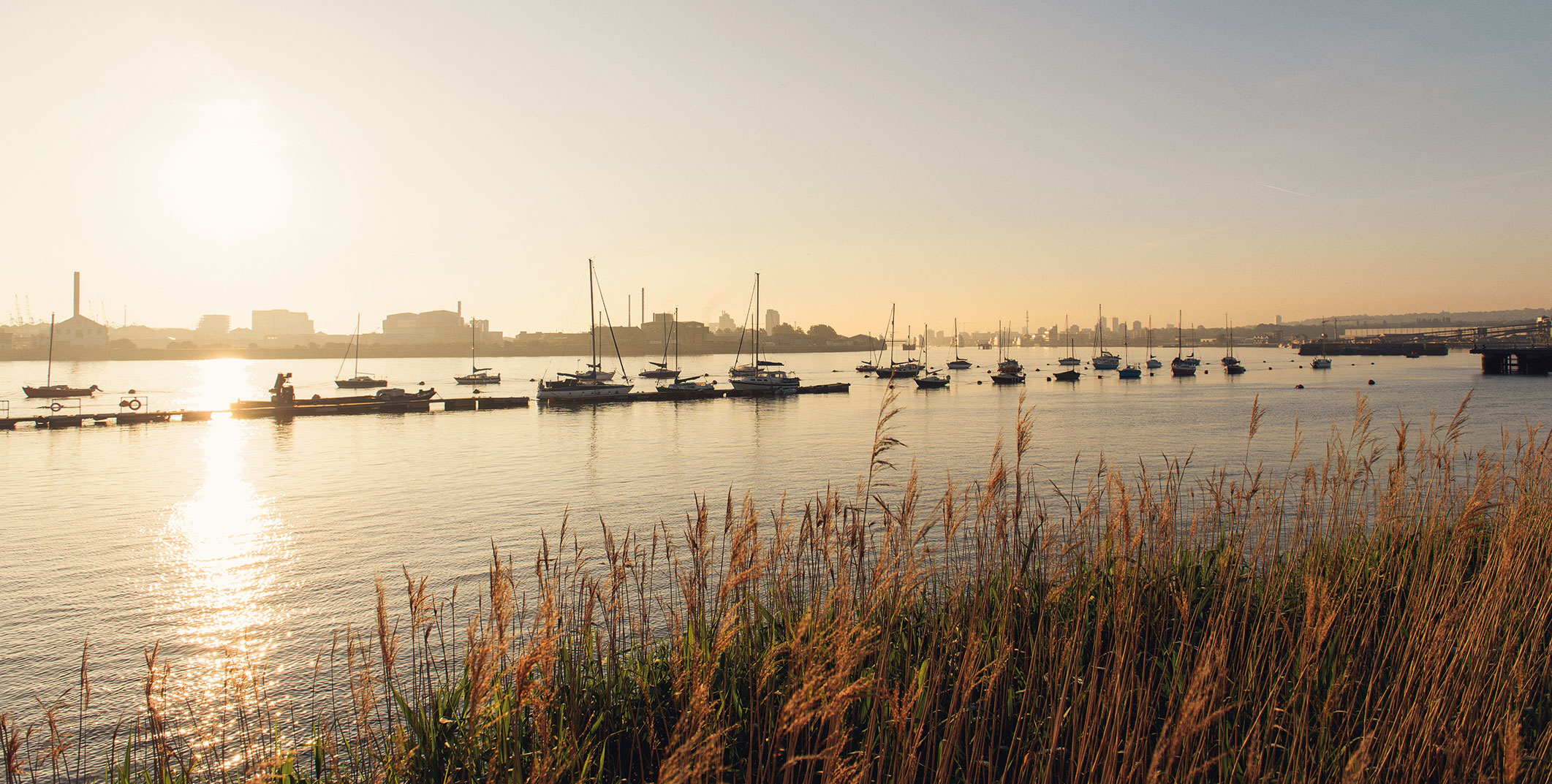 2014 MT GreenwichPeninsula XYZ1338