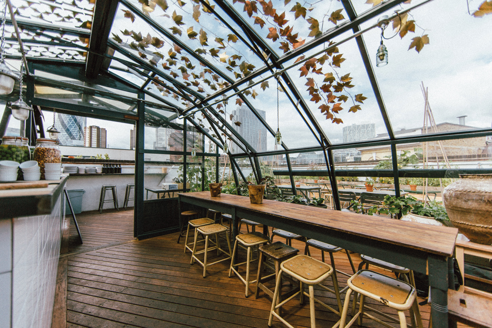 DRM CulpeperRooftop02 HR-DRM 6899