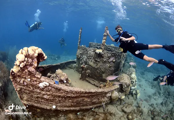 All about scuba (1)