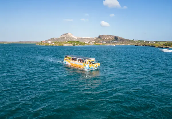 Splashy Iguana Tours