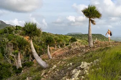 Hiking on Hilltop