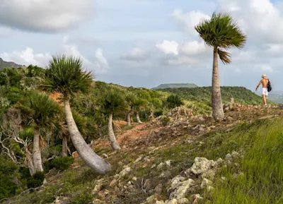 Hiking on Hilltop