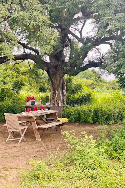 Picnic At Hofi Cas Cora by Femi Meaux