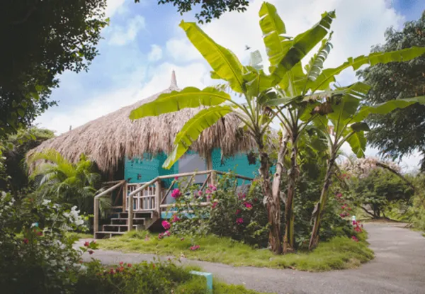 Mondi Lodge