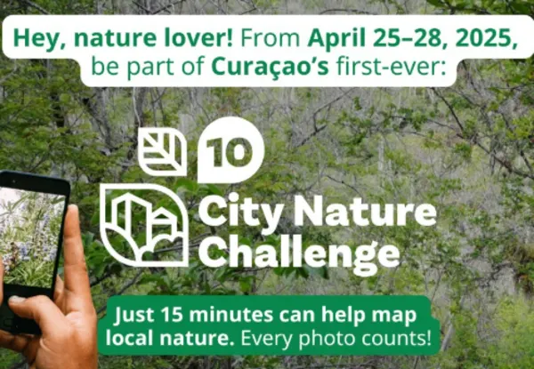 city nature challenge curacao