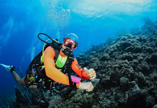 Ocean encounters (3)