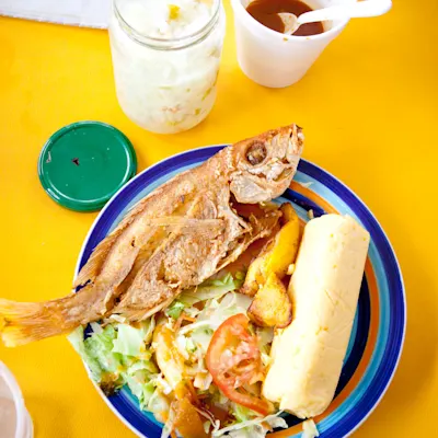 food-1red-snapper
