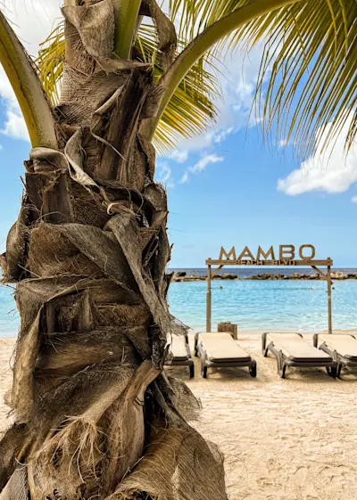 Mambo Beach BLVD