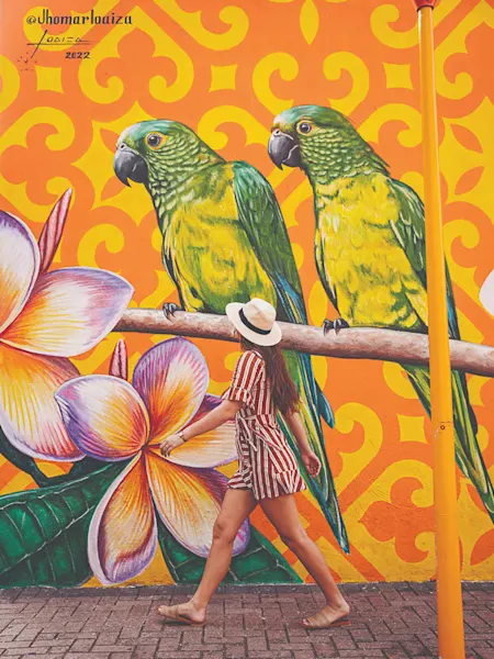 Parrots Mural