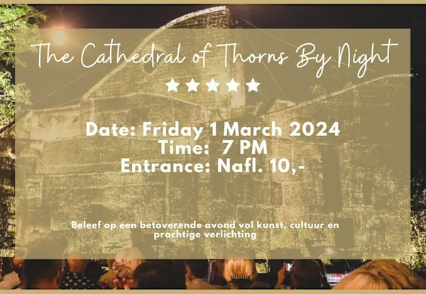 Cathedral of Thorns by Night