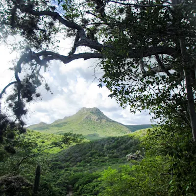 Mount Christoffel At Christoffel National Park
