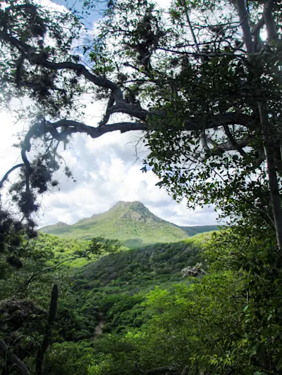Mount Christoffel At Christoffel National Park