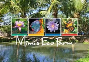 CC Mimi's Eco Farm Curacao