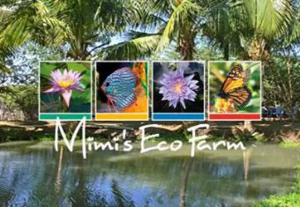 CC Mimi's Eco Farm Curacao