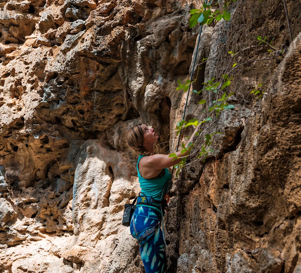 A Thrill Seeker’s Guide 1