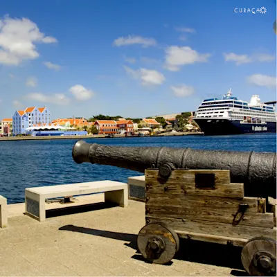 Cannon cruise ship