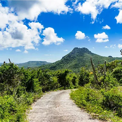 VJ - Christoffel Park
