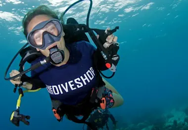 The dive shop 1