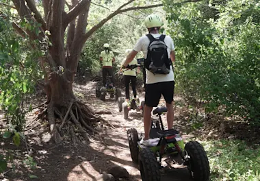 E-Nature Tours & Activities
