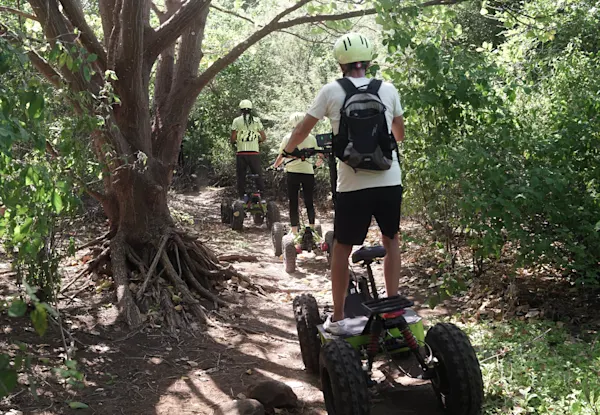 E-Nature Tours & Activities