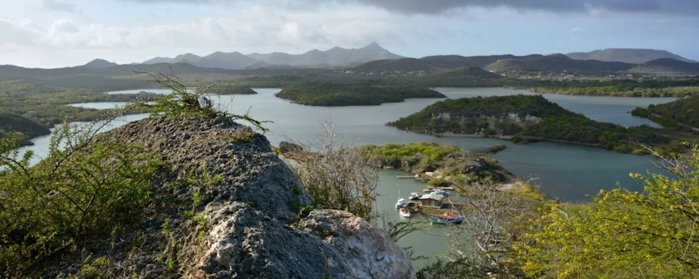 1920 natuurcuracao-699308
