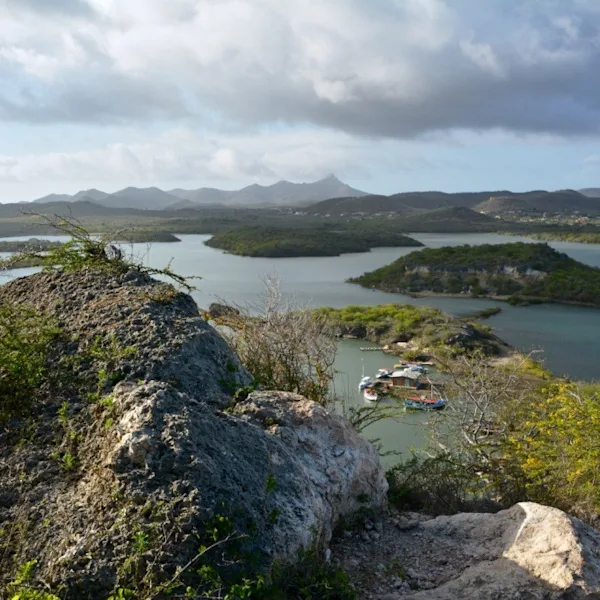 1920 natuurcuracao-699308