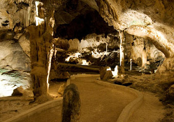 哈托溶洞（HATO CAVES）