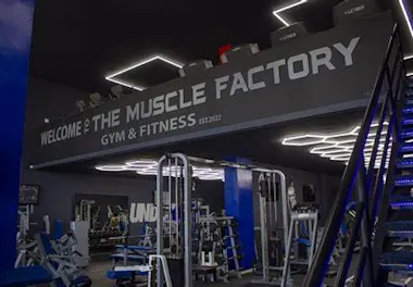 The muscle factory