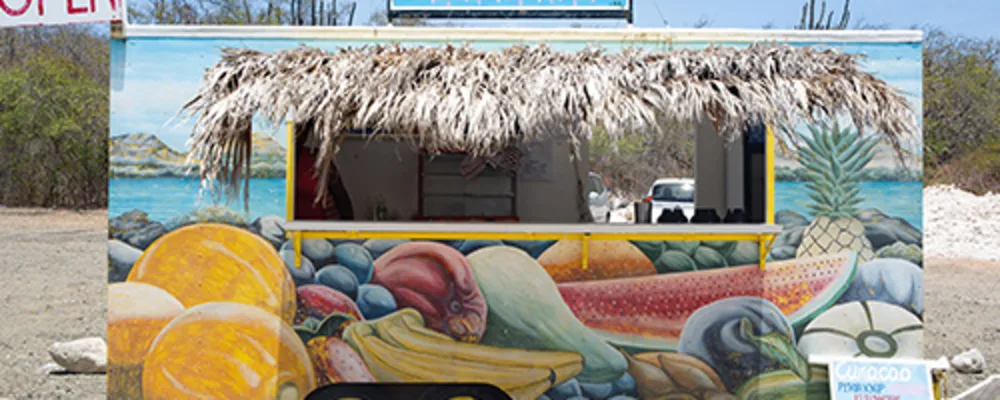 batidos-shakes-truck-500-241952