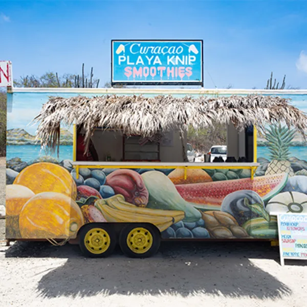 batidos-shakes-truck-500-241952