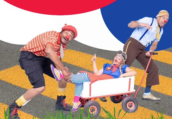 CliniClowns Red nose walk - night edition