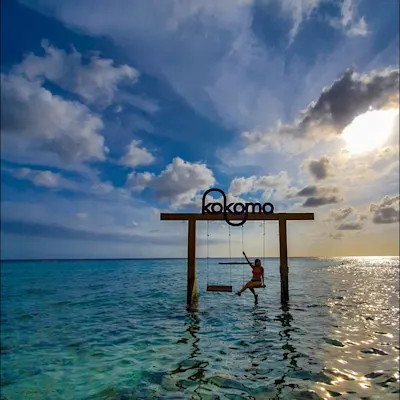 58994666-136591050784083-7806516098240996925-n-955977