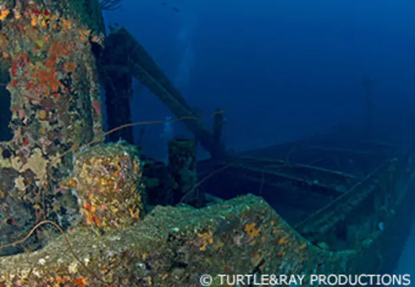 CC Superior Producer