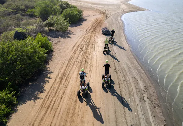 E-Nature Tours & Activities