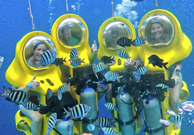 aquafari 2
