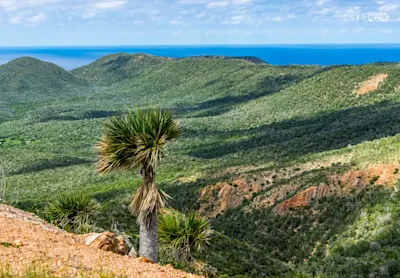 Christoffel Park