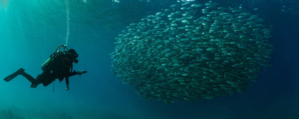 Diving in Curacao (2)