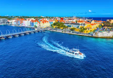 Ocean encounters (1)