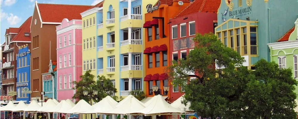 1920 iguanacafecuracao-640636