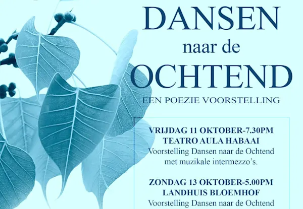 Dansen naar de Ochtend - Een poezie voorstelling
