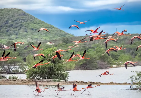 Seru Lora Nationalpark (1)