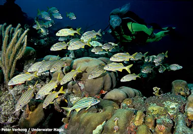 CC Boka Grandi, Playa Mansaliña, Mike's Place and Playa Largu