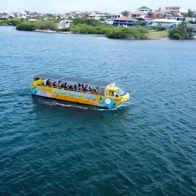 Credit: Splashy Iguana Tours