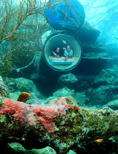 Image of Ocean Lens By Curaçao Sea Aquarium